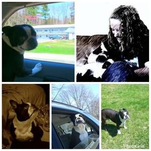 Meet your Posher, Ellen